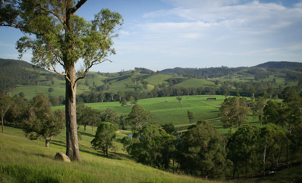 Riverwood Downs Of Barrington Tops Monkerai Exterior photo